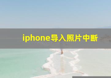 iphone导入照片中断