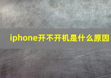 iphone开不开机是什么原因