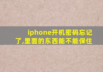 iphone开机密码忘记了,里面的东西能不能保住