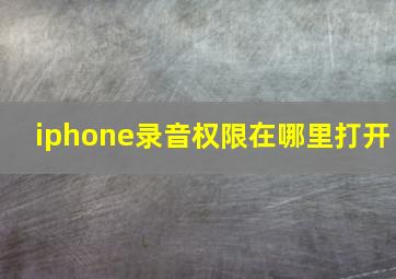 iphone录音权限在哪里打开