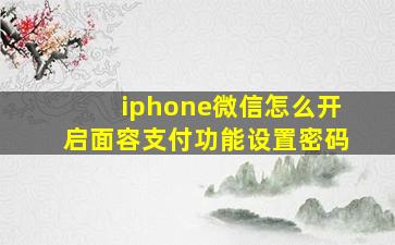 iphone微信怎么开启面容支付功能设置密码