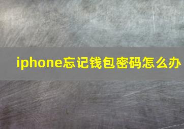 iphone忘记钱包密码怎么办