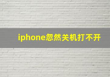 iphone忽然关机打不开