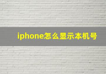 iphone怎么显示本机号