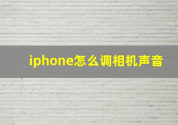 iphone怎么调相机声音