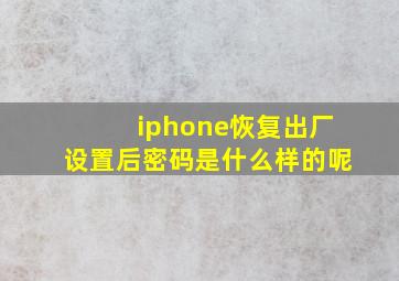 iphone恢复出厂设置后密码是什么样的呢