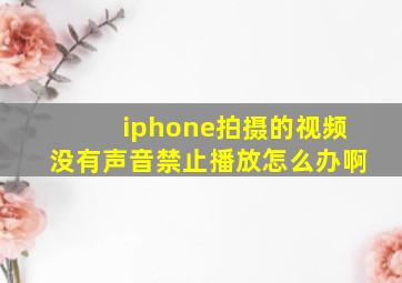 iphone拍摄的视频没有声音禁止播放怎么办啊