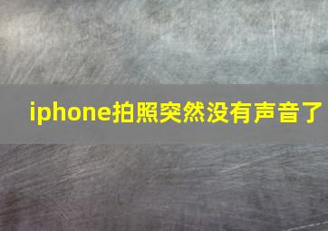 iphone拍照突然没有声音了