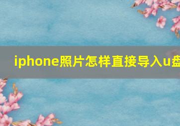 iphone照片怎样直接导入u盘