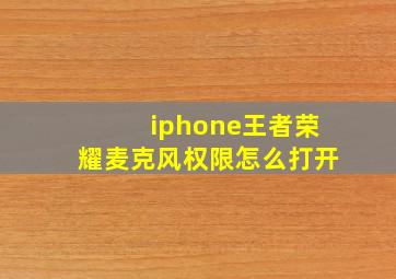 iphone王者荣耀麦克风权限怎么打开