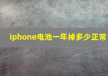 iphone电池一年掉多少正常