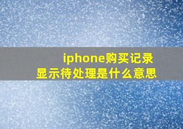 iphone购买记录显示待处理是什么意思