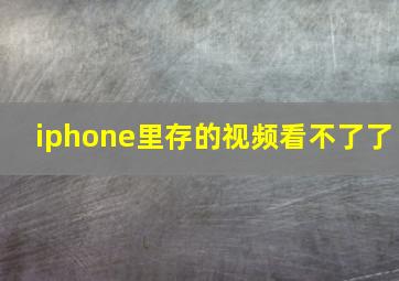 iphone里存的视频看不了了