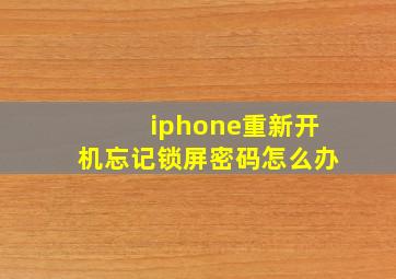 iphone重新开机忘记锁屏密码怎么办