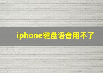 iphone键盘语音用不了