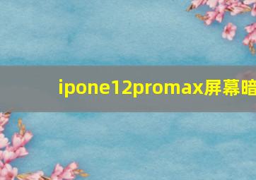 ipone12promax屏幕暗