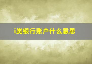 i类银行账户什么意思