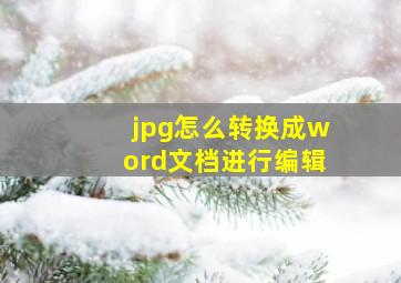 jpg怎么转换成word文档进行编辑