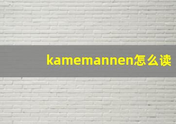 kamemannen怎么读