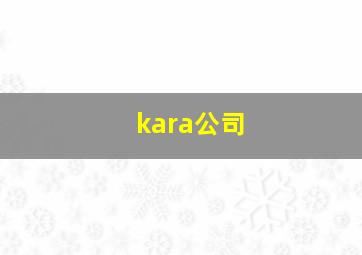 kara公司