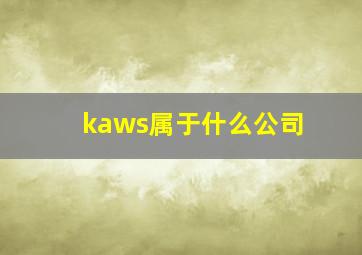 kaws属于什么公司