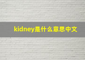 kidney是什么意思中文