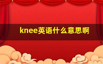 knee英语什么意思啊