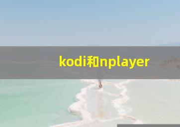 kodi和nplayer