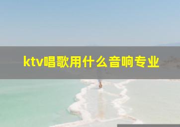 ktv唱歌用什么音响专业