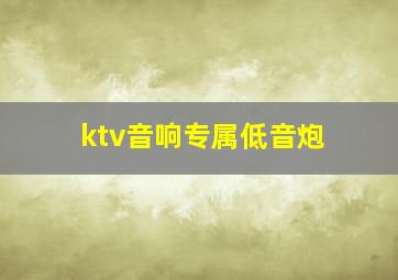 ktv音响专属低音炮