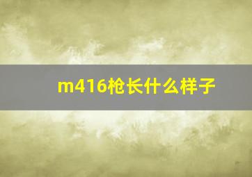 m416枪长什么样子