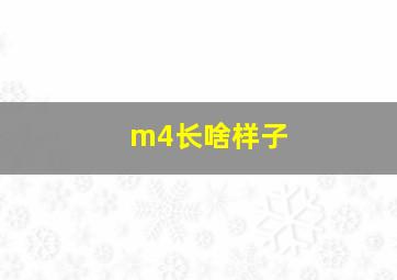 m4长啥样子