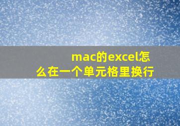 mac的excel怎么在一个单元格里换行