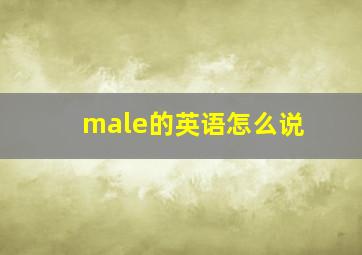 male的英语怎么说