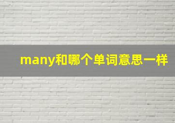 many和哪个单词意思一样