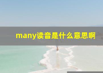 many读音是什么意思啊