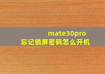 mate30pro忘记锁屏密码怎么开机