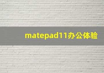 matepad11办公体验