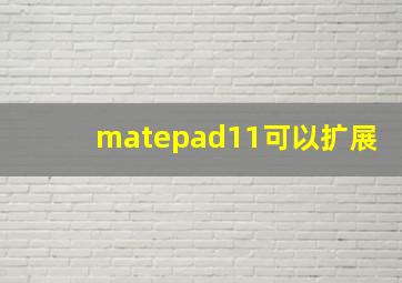 matepad11可以扩展