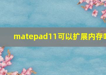 matepad11可以扩展内存吗