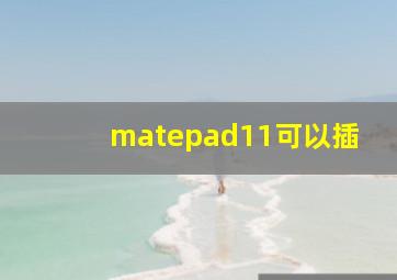 matepad11可以插