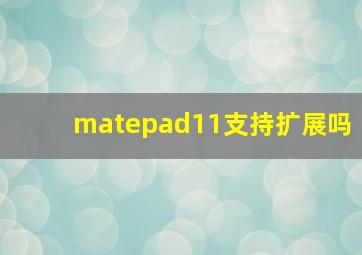 matepad11支持扩展吗