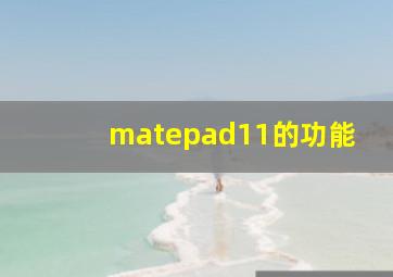 matepad11的功能