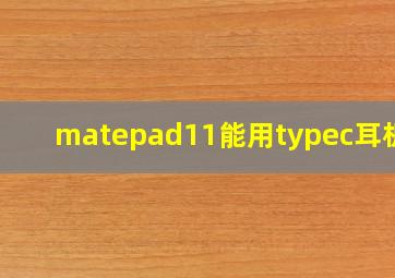 matepad11能用typec耳机吗