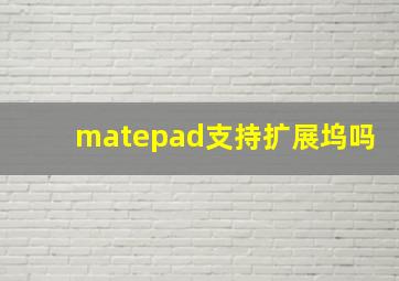 matepad支持扩展坞吗