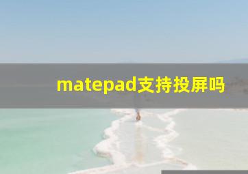 matepad支持投屏吗