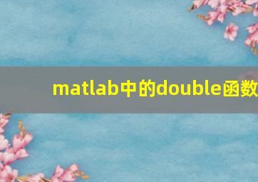 matlab中的double函数