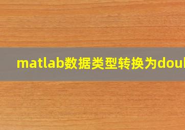 matlab数据类型转换为double