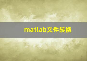 matlab文件转换