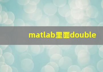 matlab里面double